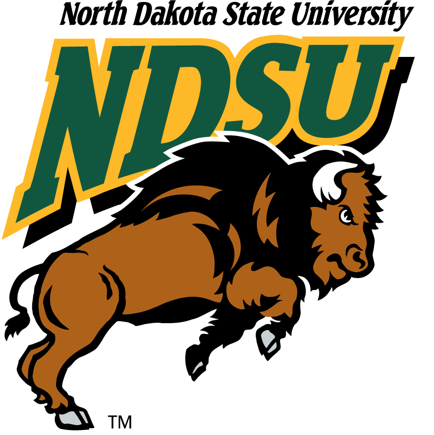 North Dakota State Bison 1999-2012 Primary Logo DIY iron on transfer (heat transfer)